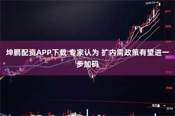 坤鹏配资APP下载 专家认为 扩内需政策有望进一步加码
