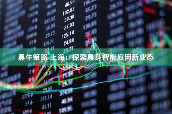 黑牛策略 上海：探索具身智能应用新业态