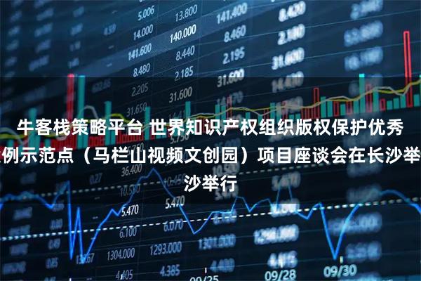 牛客栈策略平台 世界知识产权组织版权保护优秀案例示范点(马栏山视频文创园)项目座谈会在长沙举行