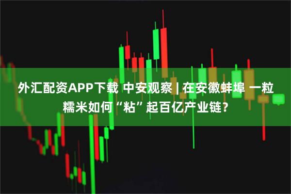 外汇配资APP下载 中安观察 | 在安徽蚌埠 一粒糯米如何“粘”起百亿产业链？