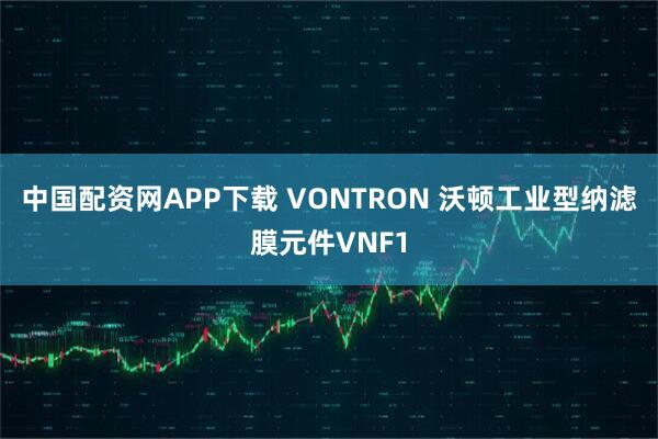 中国配资网APP下载 VONTRON 沃顿工业型纳滤膜元件VNF1