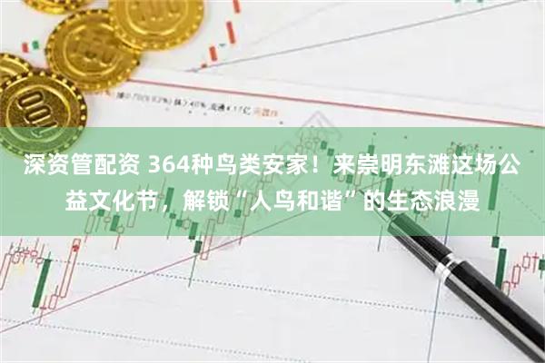 深资管配资 364种鸟类安家！来崇明东滩这场公益文化节，解锁“人鸟和谐”的生态浪漫