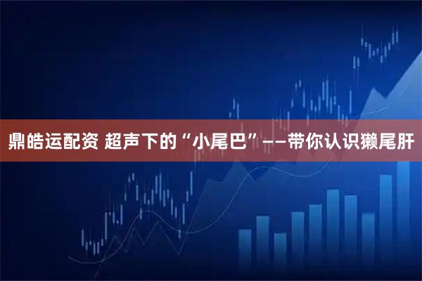 鼎皓运配资 超声下的“小尾巴”——带你认识獭尾肝