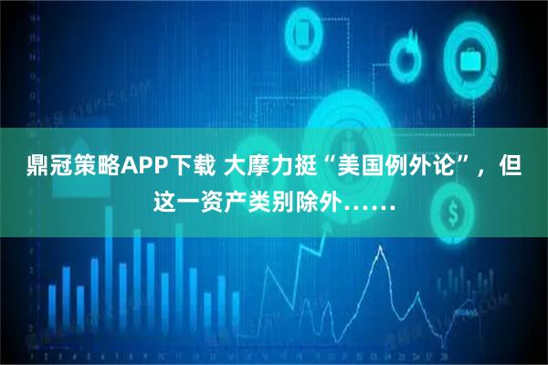 鼎冠策略APP下载 大摩力挺“美国例外论”，但这一资产类别除外……